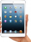 iPad MIni as an EReader