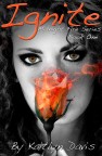 Ignite (Midnight Fire #1) by Kaitlyn Davis