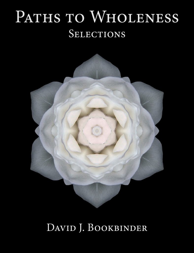 Paths to Wholeness: Selections by David J. Bookbinder